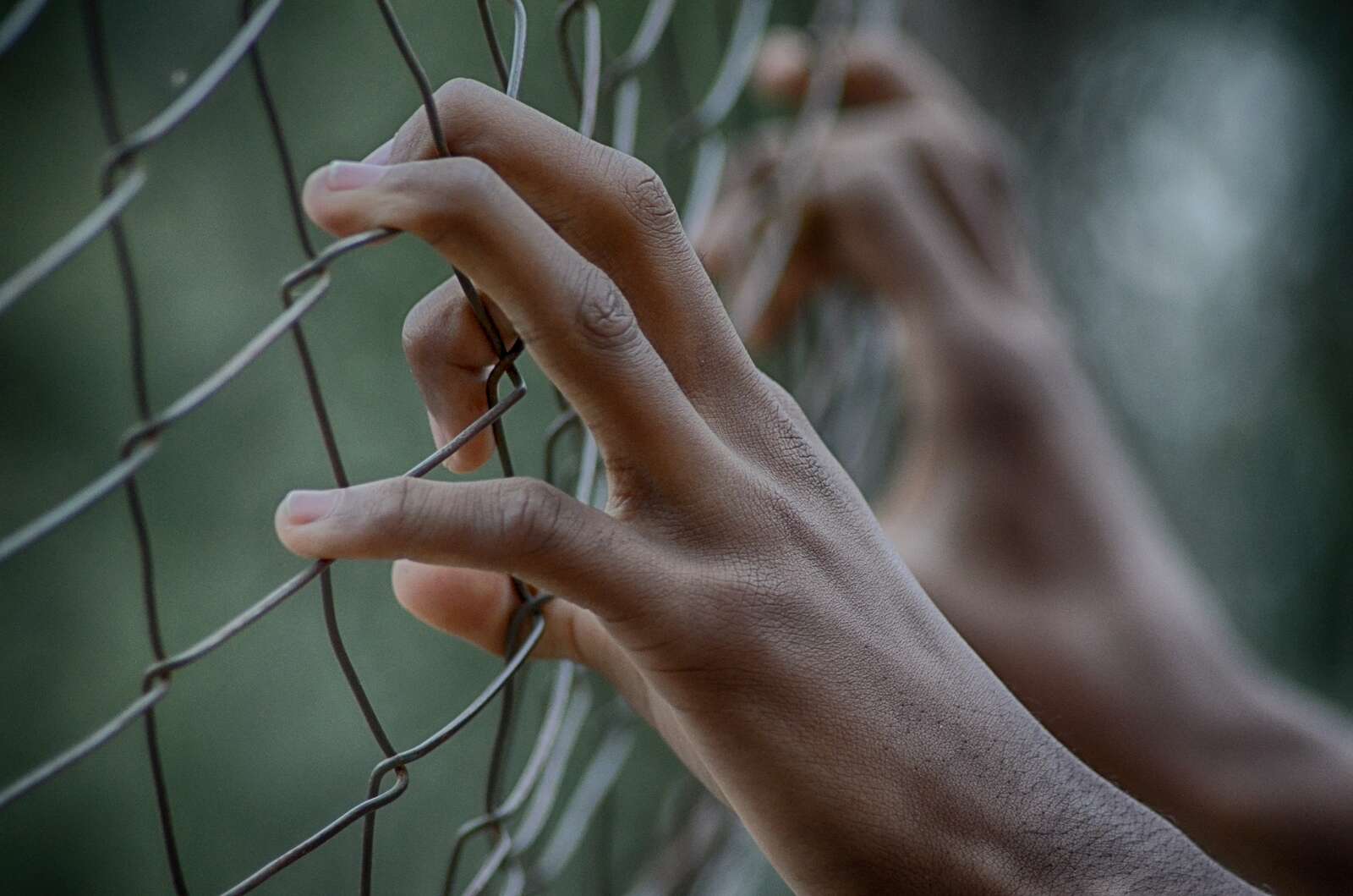 fence gc5fa4640b 1920